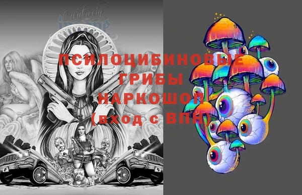 гашик Суровикино