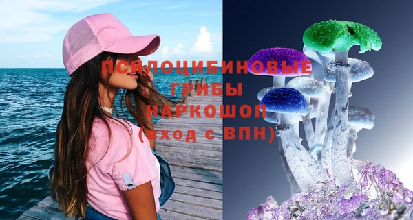 шишки Тобольск