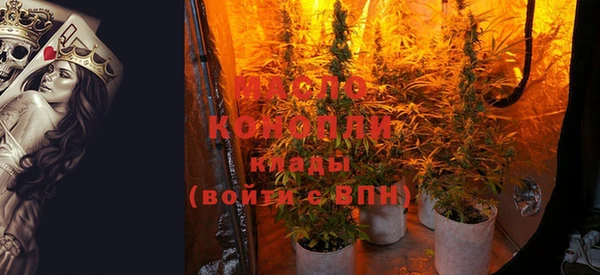 шишки Тобольск
