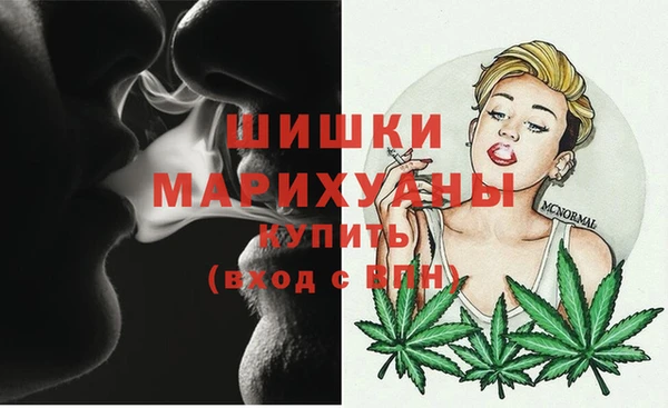 шишки Тобольск