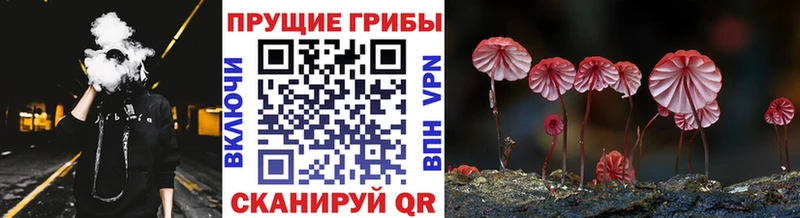 гидра ссылки  Сыктывкар  darknet как зайти  Галлюциногенные грибы GOLDEN TEACHER 