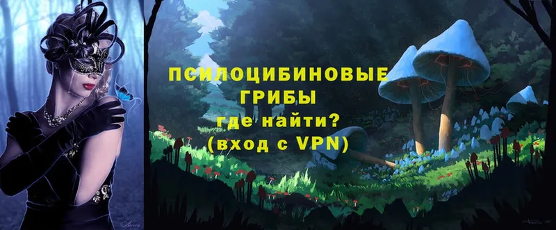 закладки  ОМГ ОМГ рабочий сайт  Галлюциногенные грибы ЛСД  Сыктывкар 