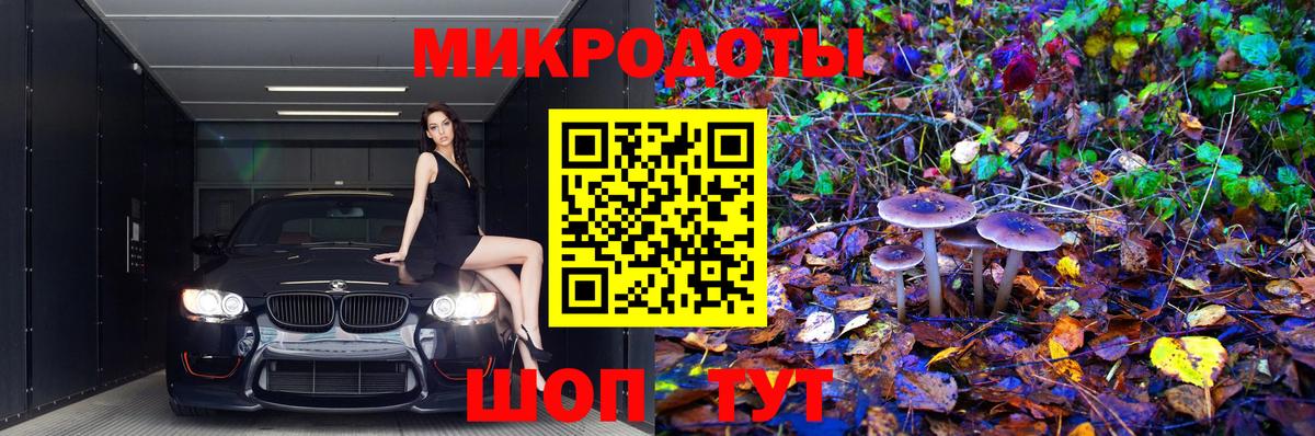 Псилоцибиновые грибы Psilocybe Сыктывкар