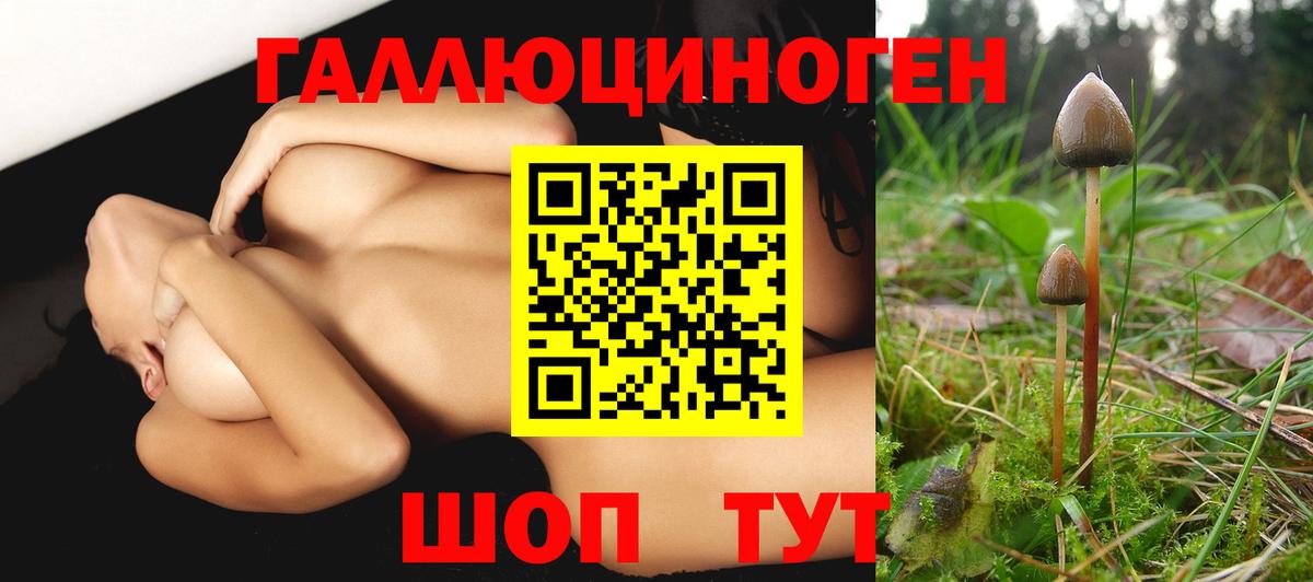 Сыктывкар  Галлюциногенные грибы мицелий  Вход с VPN 