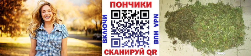 Бошки марихуана Amnesia Сыктывкар